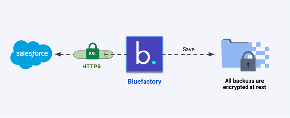 Salesforce sedure backup